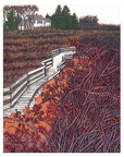 Fore River Trail