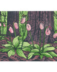 Lady Slippers