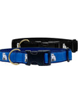 Dog collars with plastic clip in black and blue.