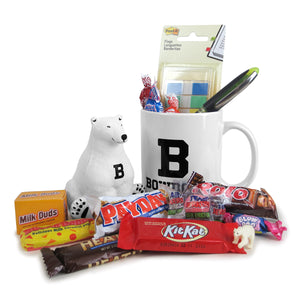 Care package including assorted fun-size candies, a polar bear stress reliever, a mug, a package of post-it flags, a highlighter, and a mini plastic polar bear.