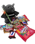Plush bat with 'Bowdoin' shirt surrounded by candy bars on a white background