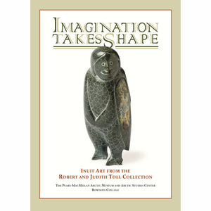 Imagination Takes Shape book cover.