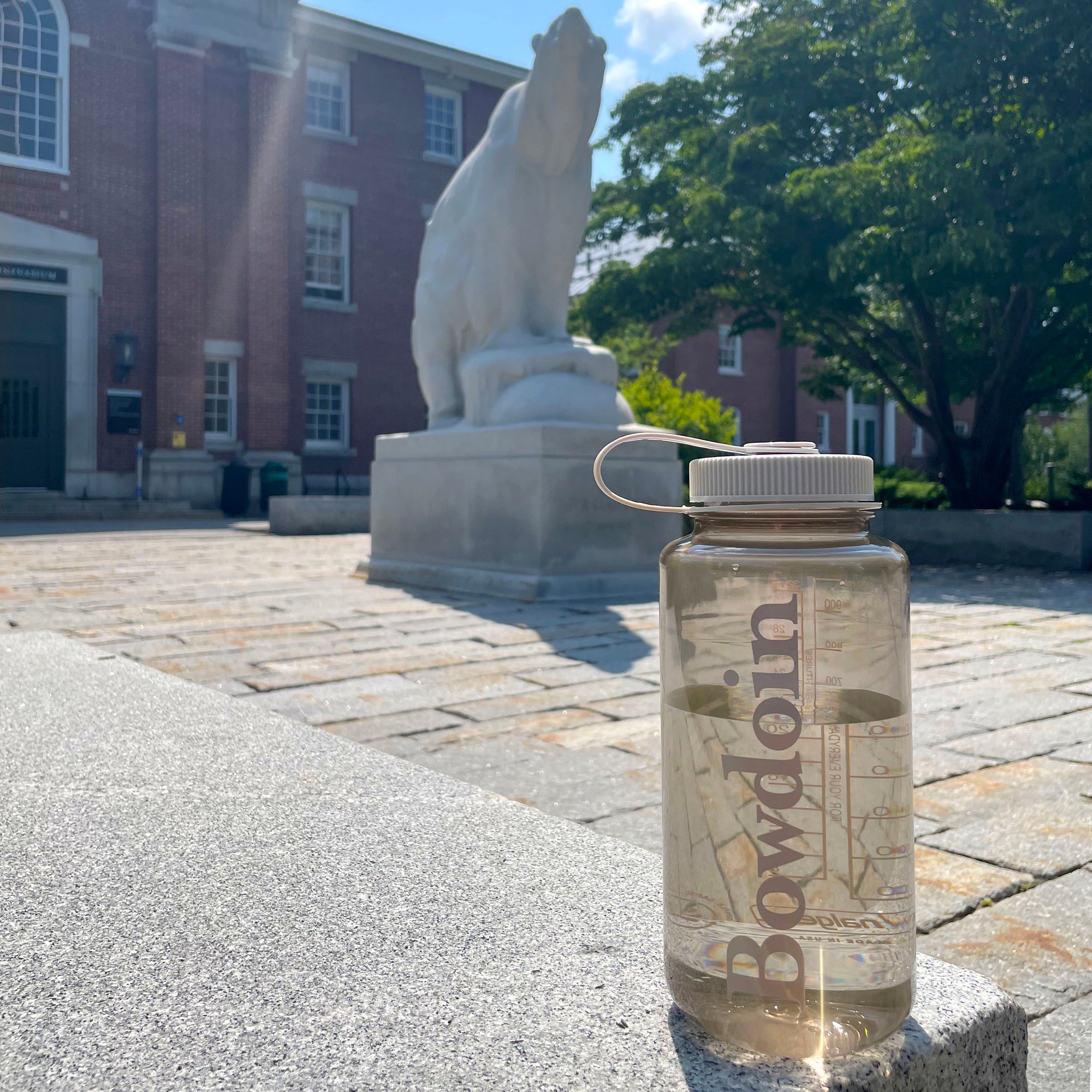 Clear water bottle with 'Bowdoin' branding in front of the Hyde Plaza polar bear statue and Sargent Gym.