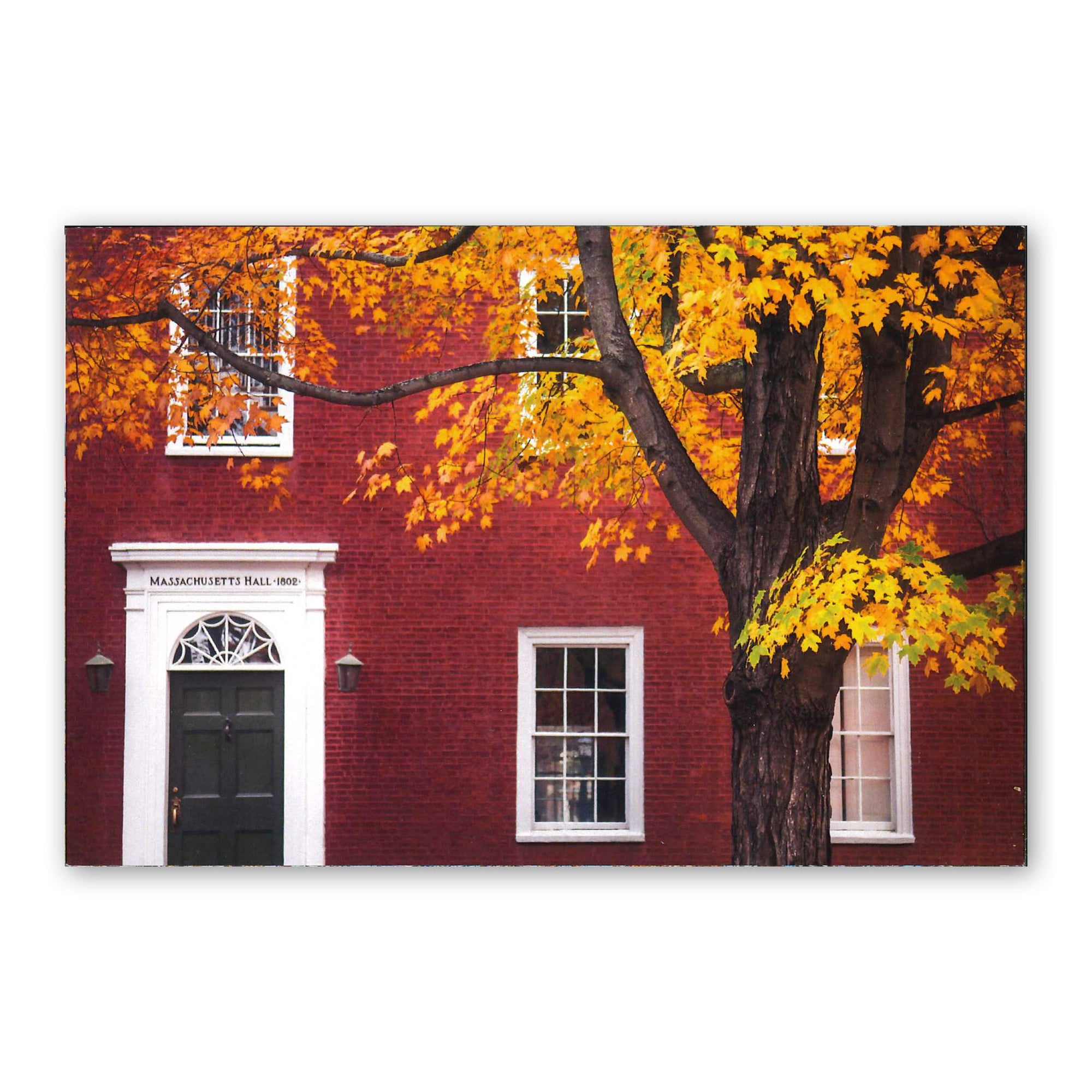 Postcard of the door of Massachusetts Hall with fall foliage in front.