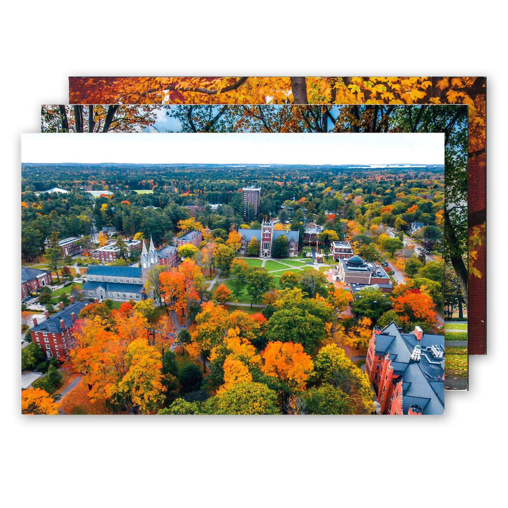 3 Bowdoin postcards.