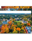 3 Bowdoin postcards.