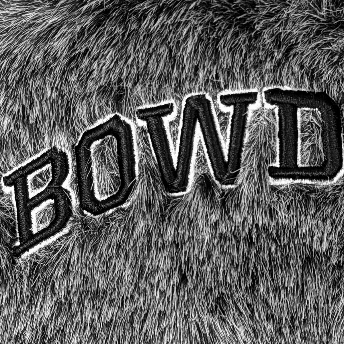 Text 'BOWD' on a textured furry background