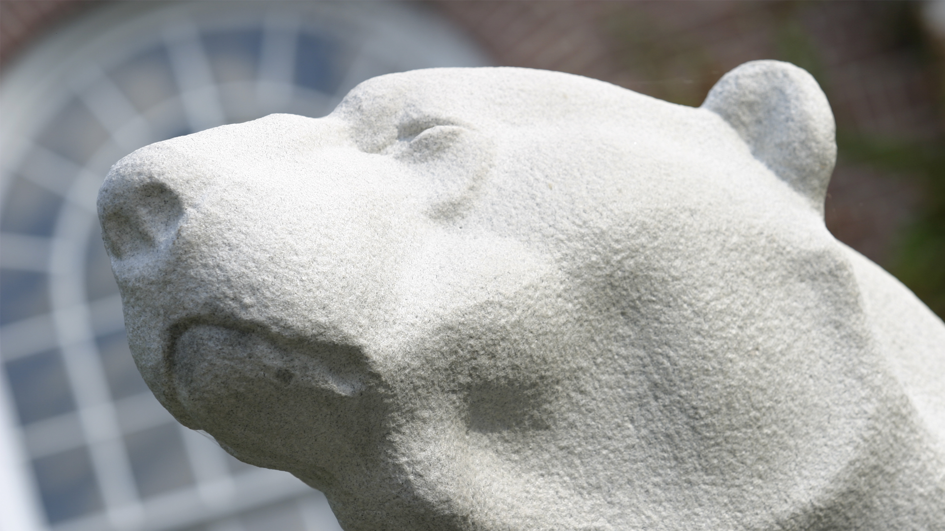 Closeup photo of Hyde plaza polar bear sculpture.