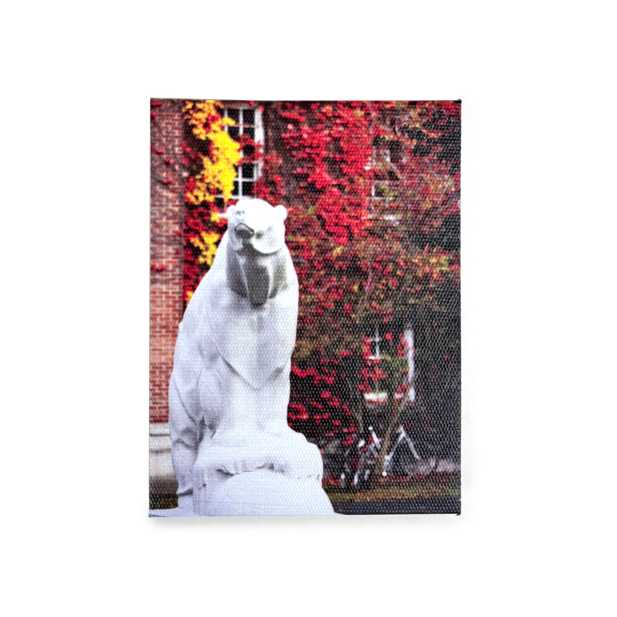 A rectangular canvas magnetic print featuring a white stone bear statue in front of a brick building covered in red and yellow autumn ivy, shown against a plain white background.