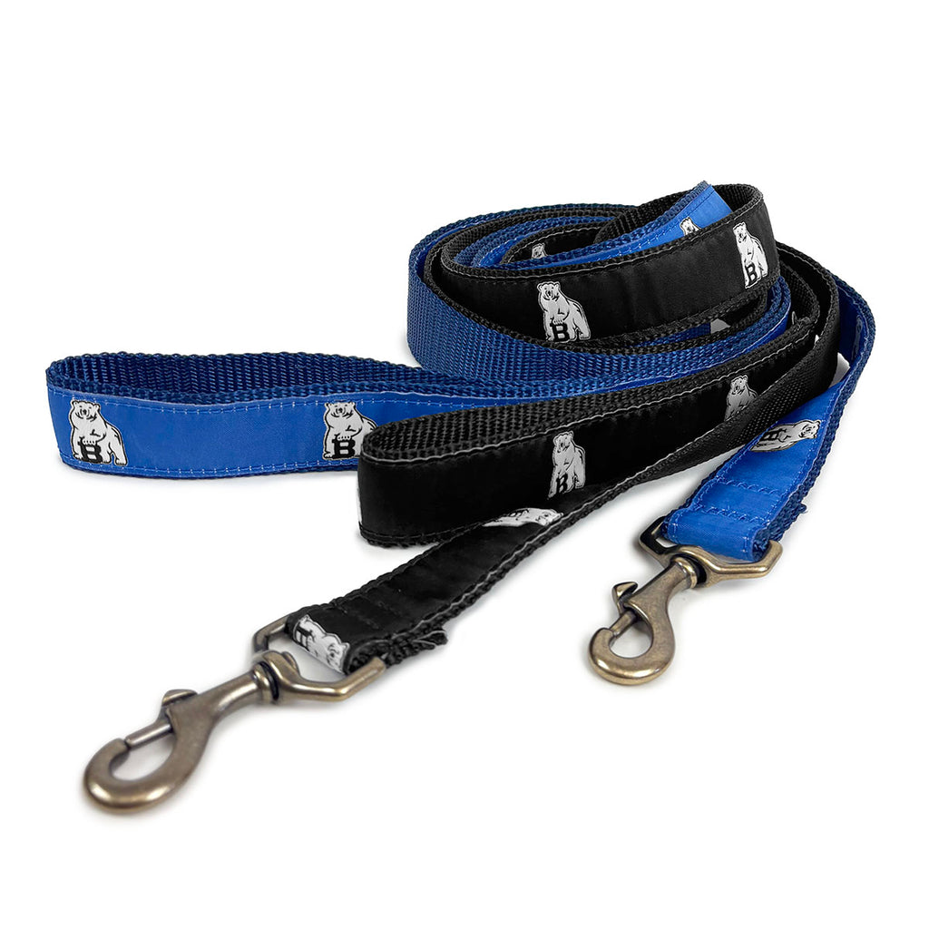 Black and blue dog leashes.