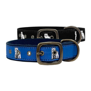 Blue and black buckled dog collars