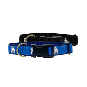 Dog collars with plastic clip in black and blue.