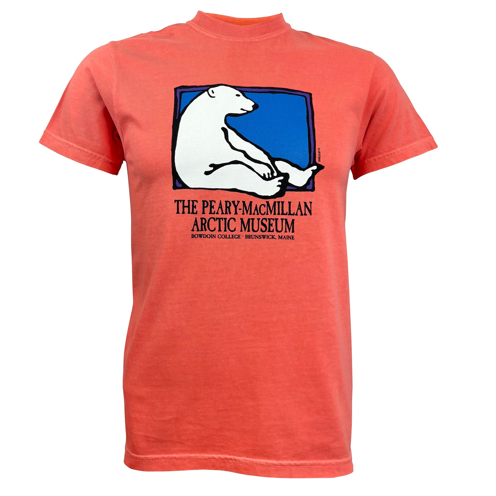 Adult's Arctic Museum Tee