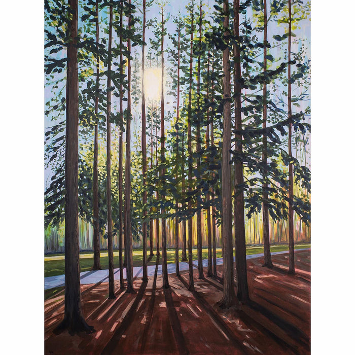 Among the Bowdoin Pines Art Print