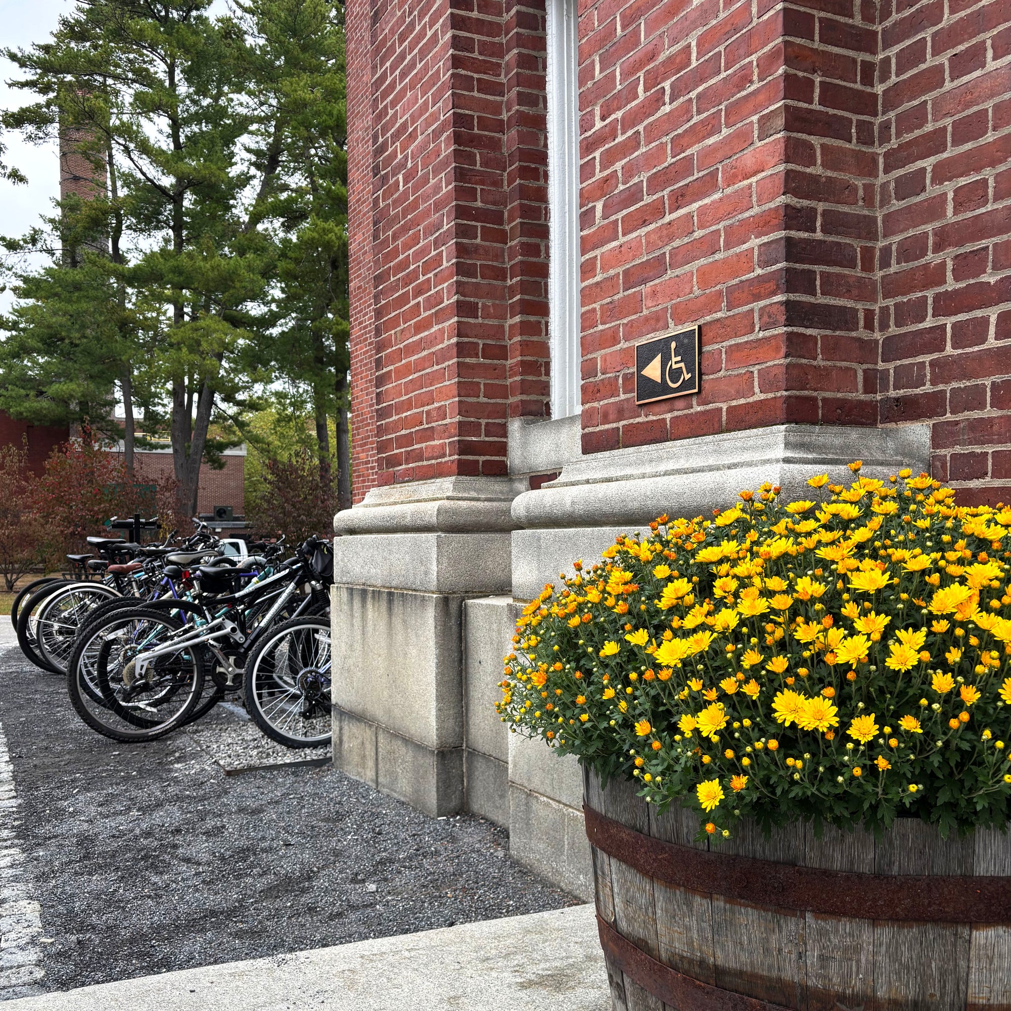 Bicycles parked by a brick building with a planter of yellow chrysanthemums.