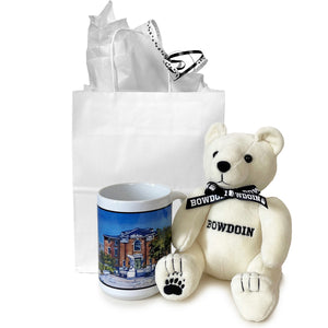 Gift set with gift bag, mug with Hyde Plaza print, and Bowdoin plush bear.