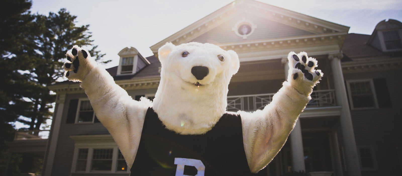 Polar bear mascot in front of Admissions house at Bowdoin College