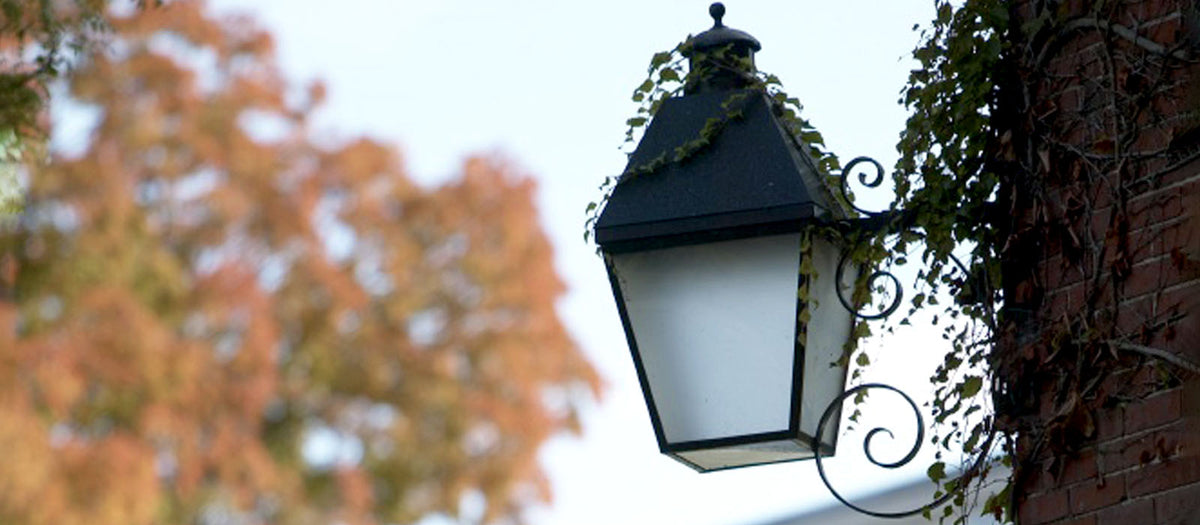 Iron lantern anchored to a brick wall, with ivy twining around it. In the background is a tree displaying orange foliage.