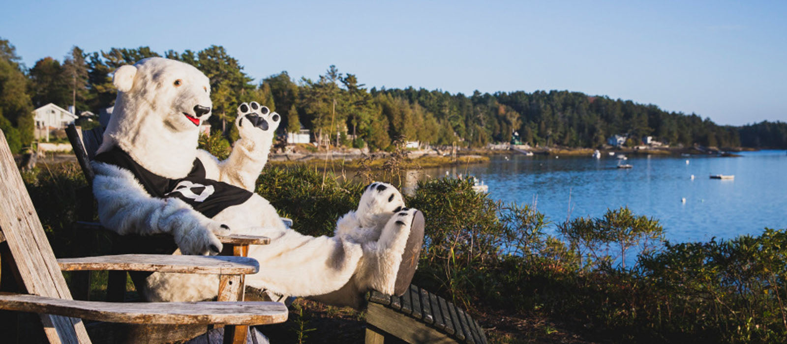 Polar bear relaxing in an Adirondack chair overlooking a beautiful vista of the Maine coast.