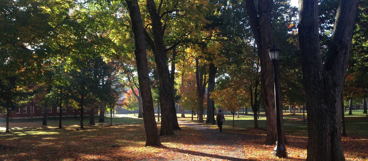 Photo of the Bowdoin College main quad on a bright fall morning, with sunlight streaming through the trees and autum leaves strewing the walkways.