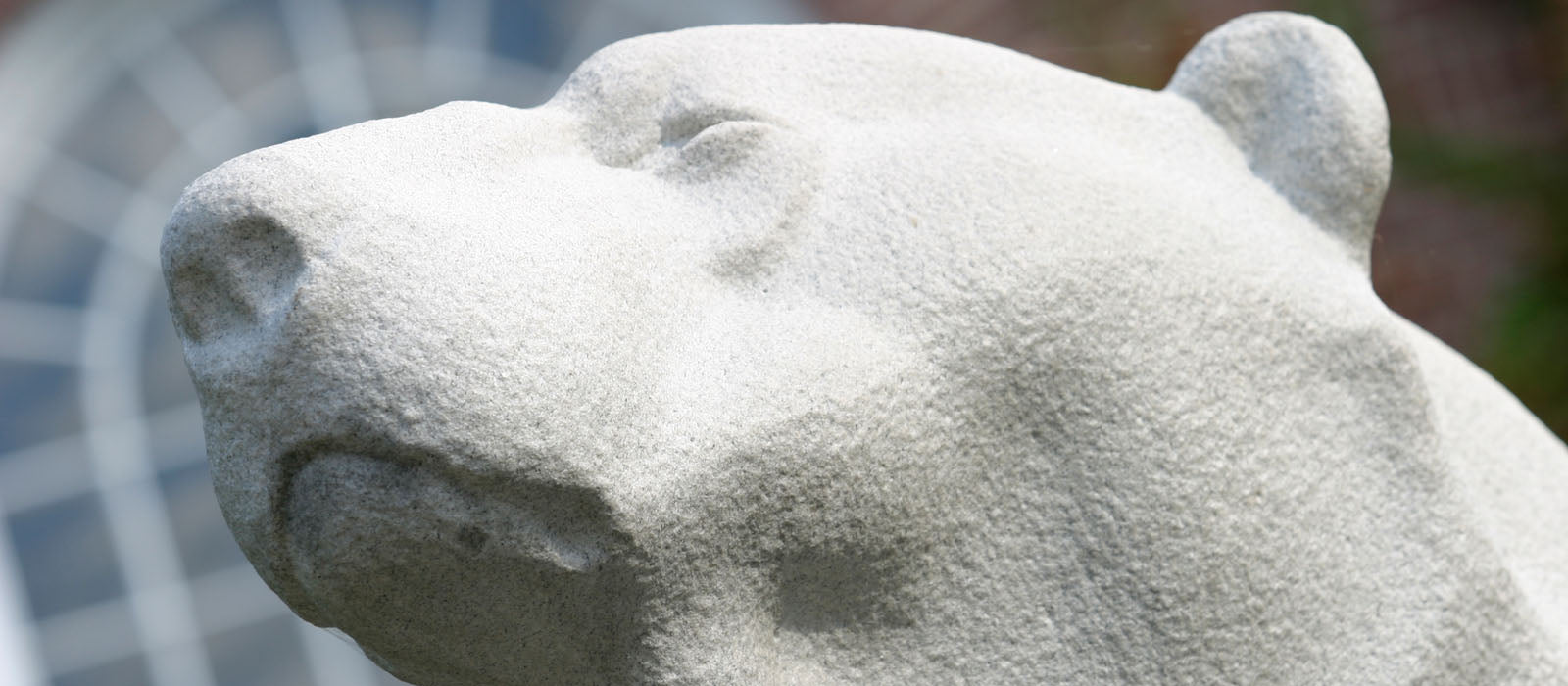 Photo of granite polar bear in Hyde Plaza