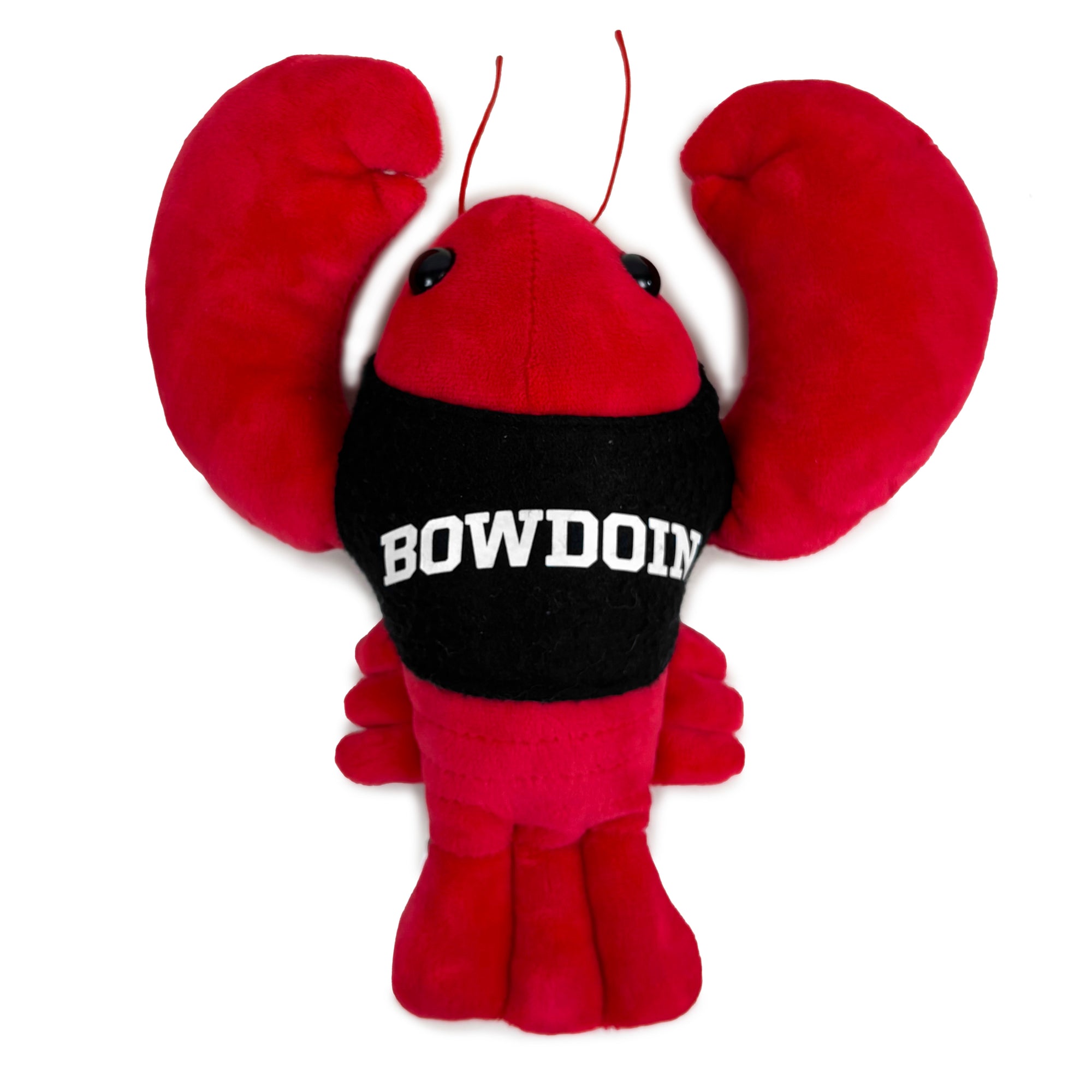 Red plush lobster toy with a black shirt with white 'BOWDOIN' imprint on a white background