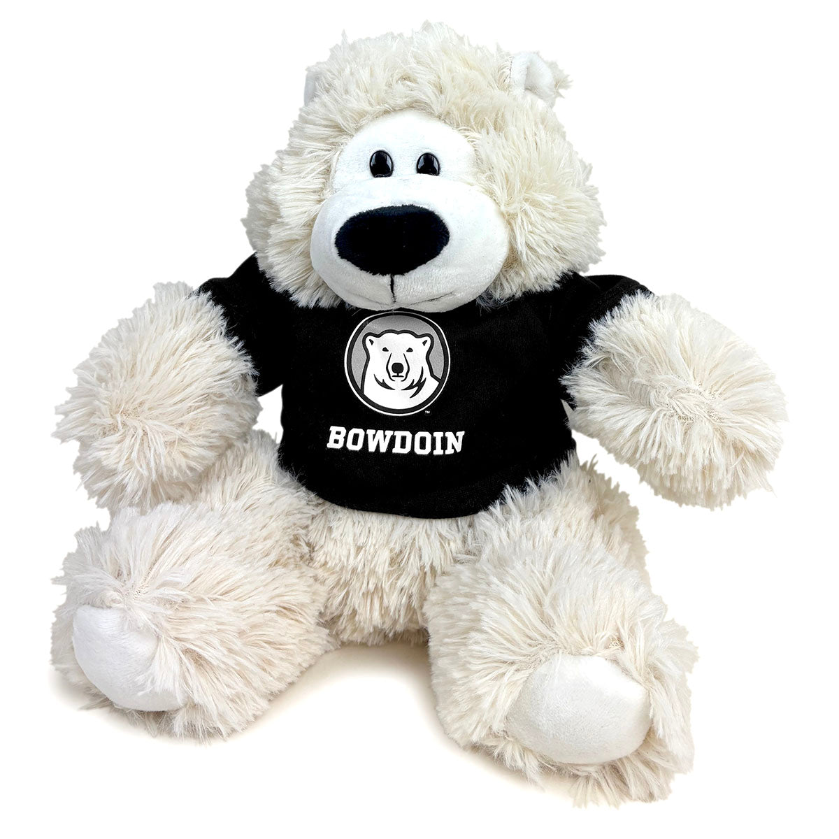 White teddy bear wearing a black shirt with 'Bowdoin' text on a white background