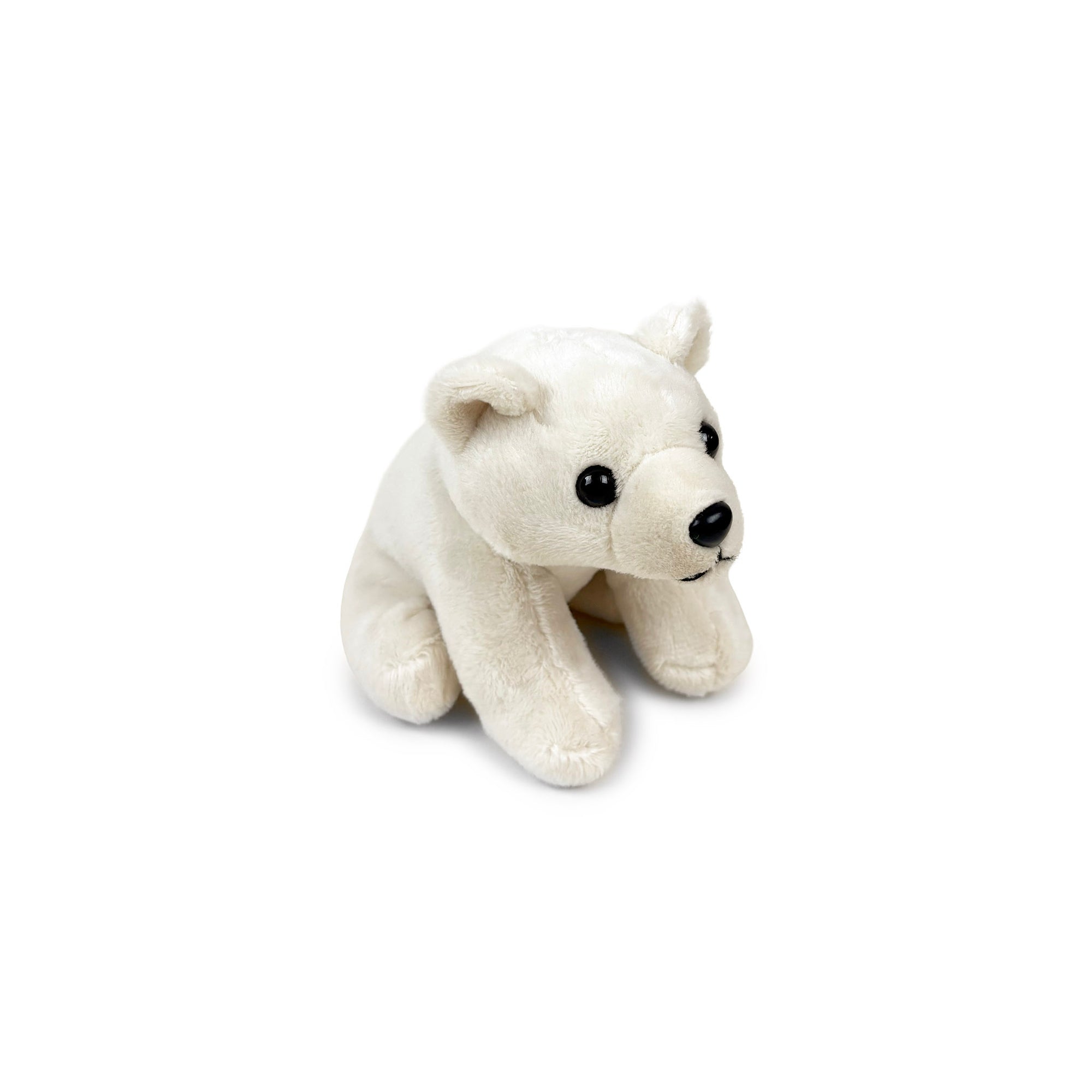 White plush bear toy on a white background