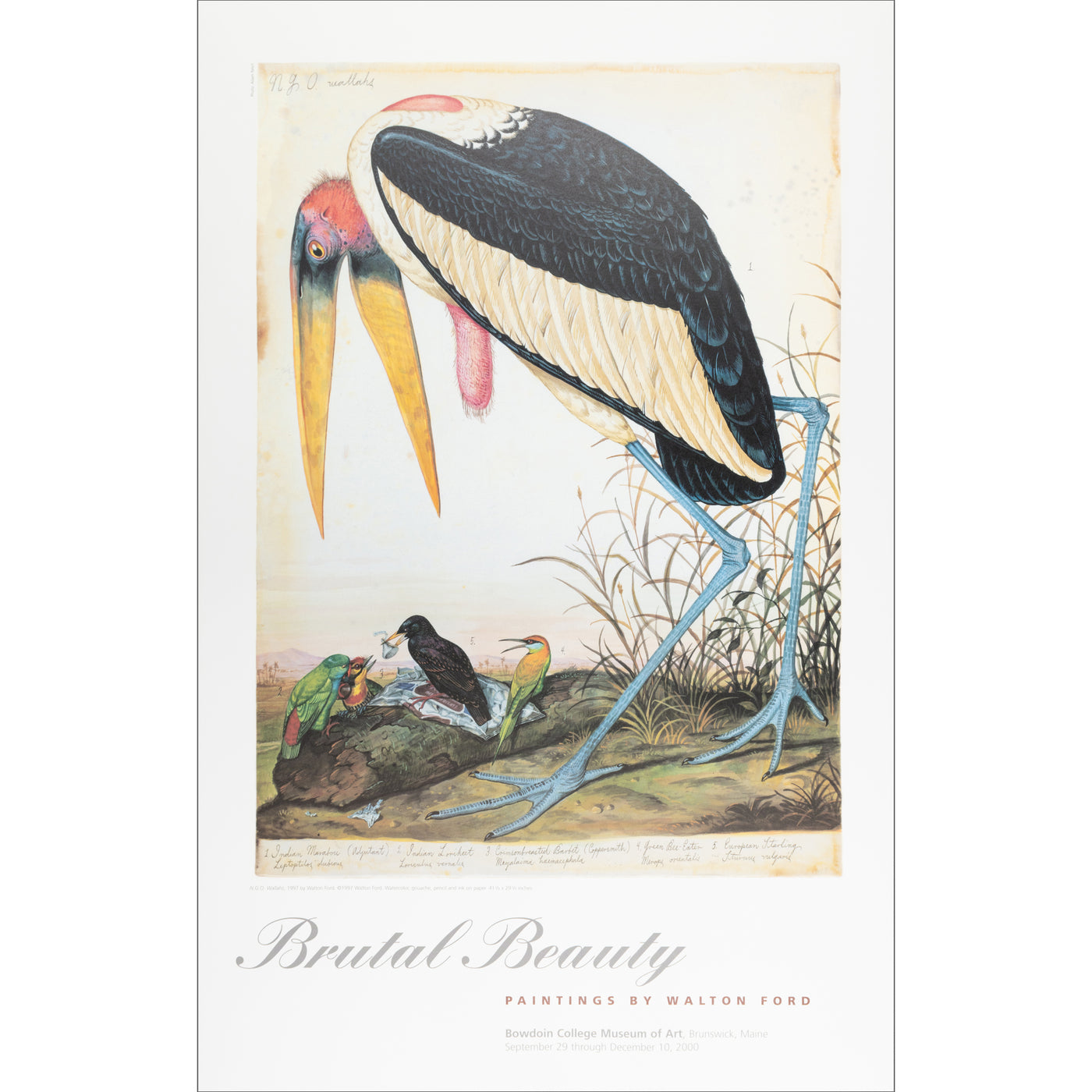 maling grinende genopfyldning Brutal Beauty: Paintings by Walton Ford Poster – The Bowdoin Store