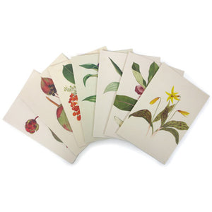 7 notecards with flower illustrations.