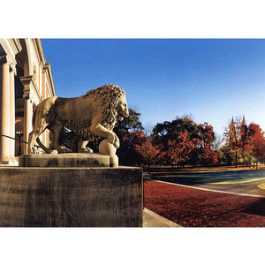 Card image showing Museum of Art lion in the fall.