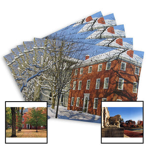 5 packs of Bowdoin cards showing 3 variants--Mass Hall in the snow, Mass Hall in the fall, and the Museum of Art lions.