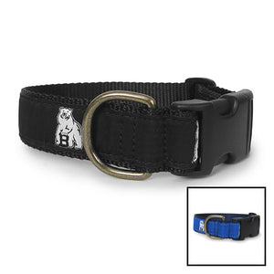 Two colors of Belted Cow dog collars.