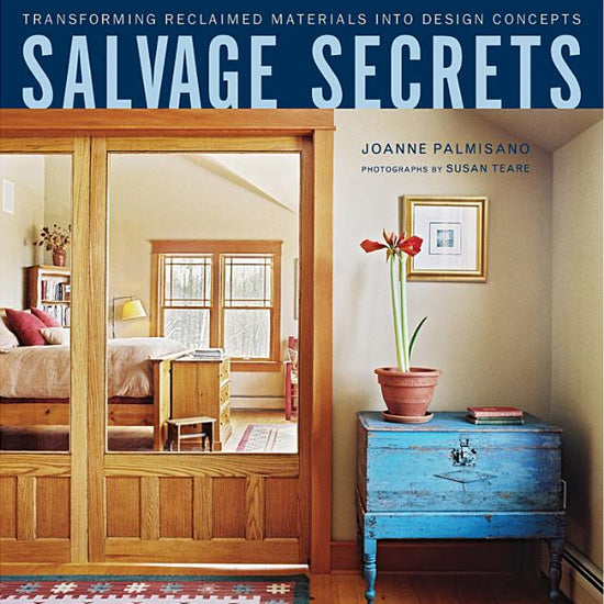 Salvage Secrets by Joanne Palmisano