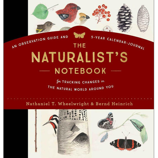 The Naturalist’s Notebook — Wheelwright
